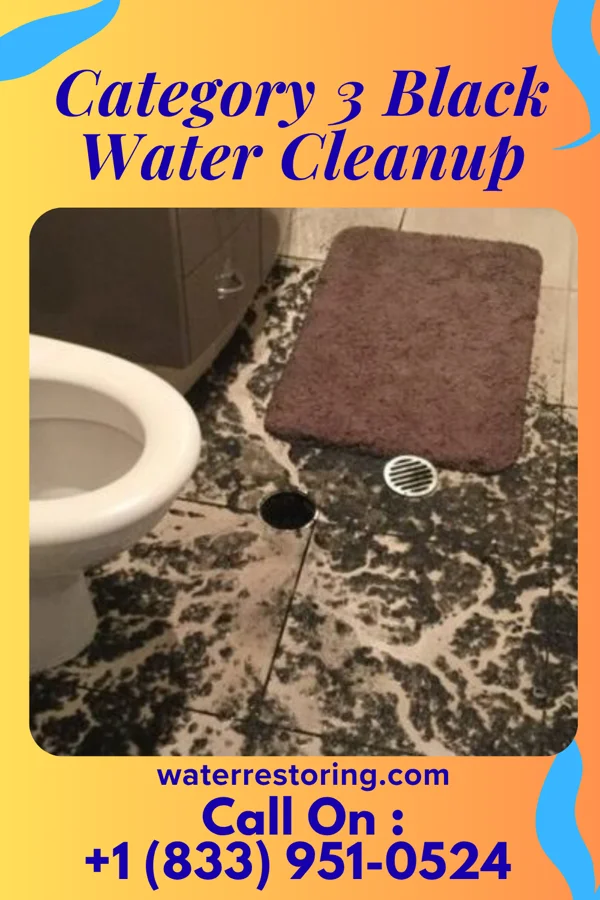 Category 3 Black Water Cleanup in Shawnee, KS